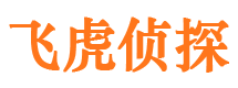 琼海市侦探调查公司